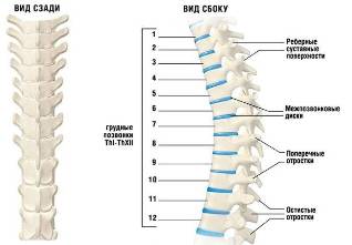 cervical Osteochondrose